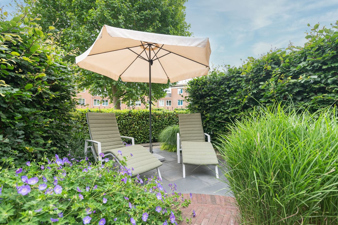 Foto 31 van Schijfmos 15