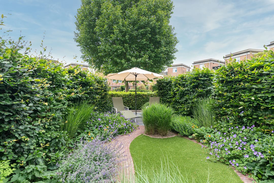 Foto 32 van Schijfmos 15