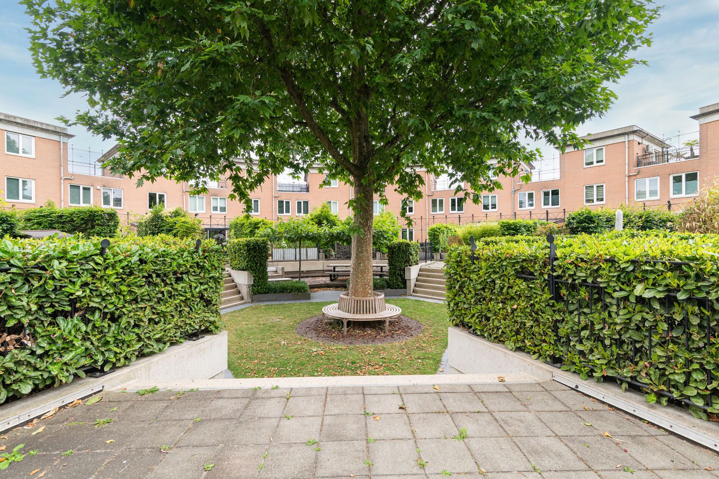 Foto 34 van Schijfmos 15