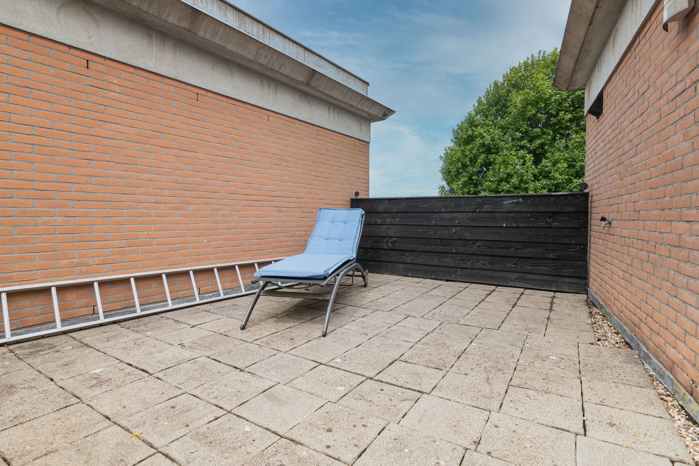 Foto 35 van Schijfmos 15