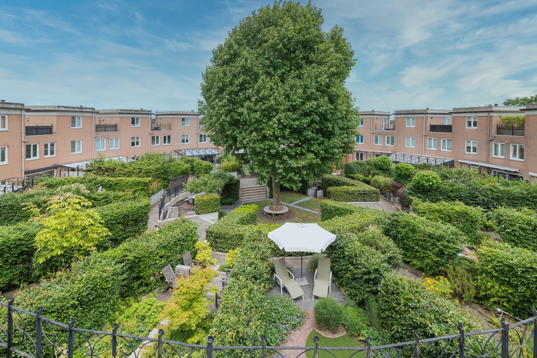 Foto 37 van Schijfmos 15