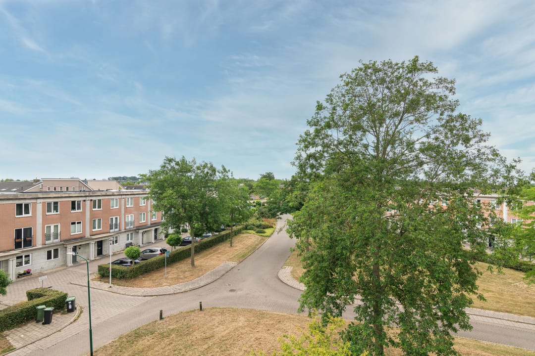 Foto 38 van Schijfmos 15