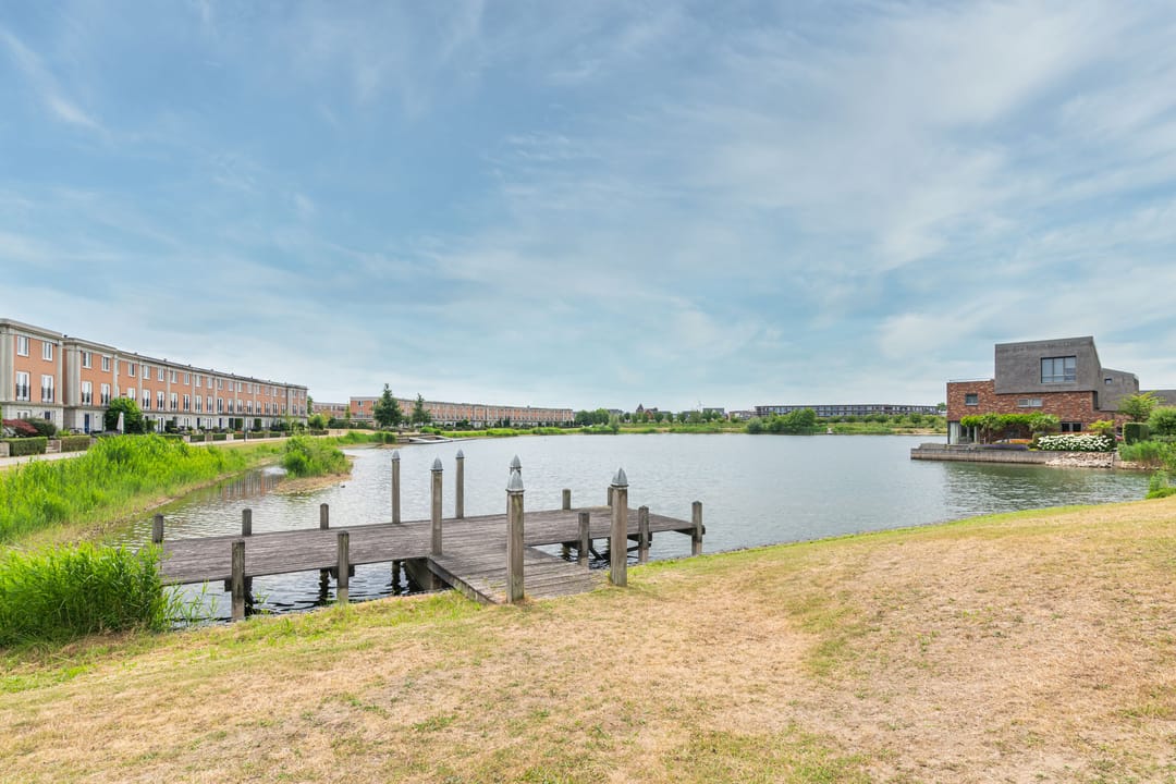 Foto 41 van Schijfmos 15