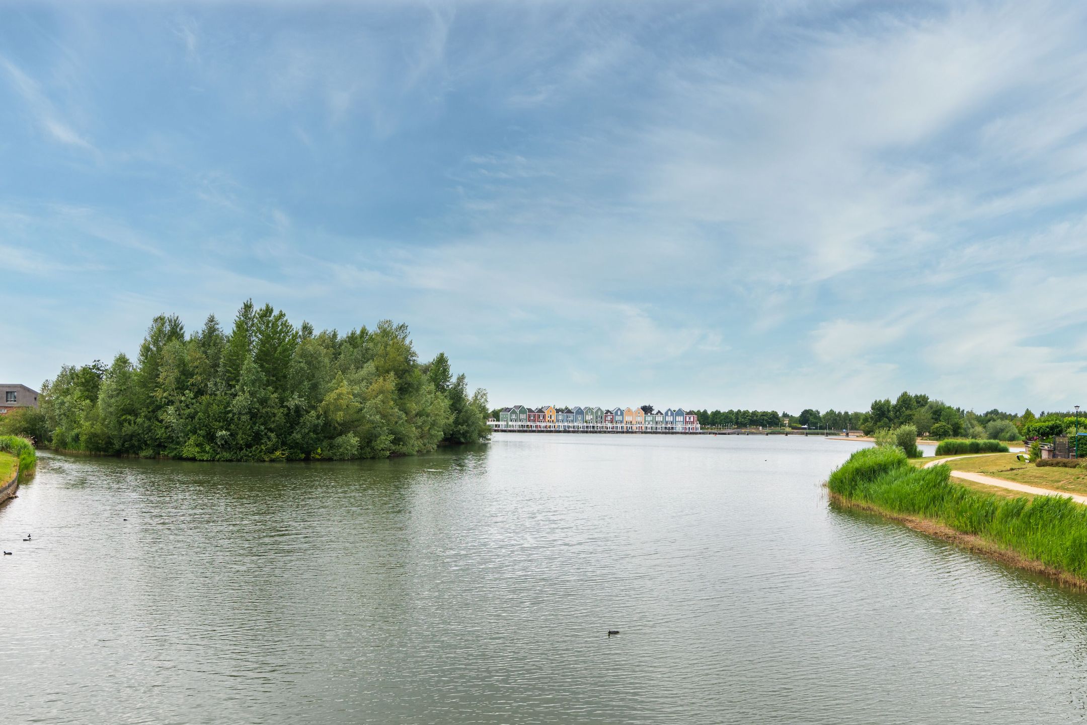 Foto 42 van Schijfmos 15