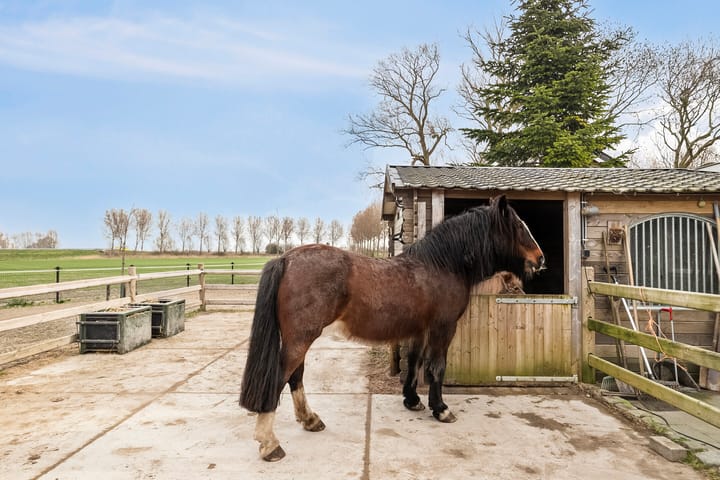 Foto 39 van Platteweg 11