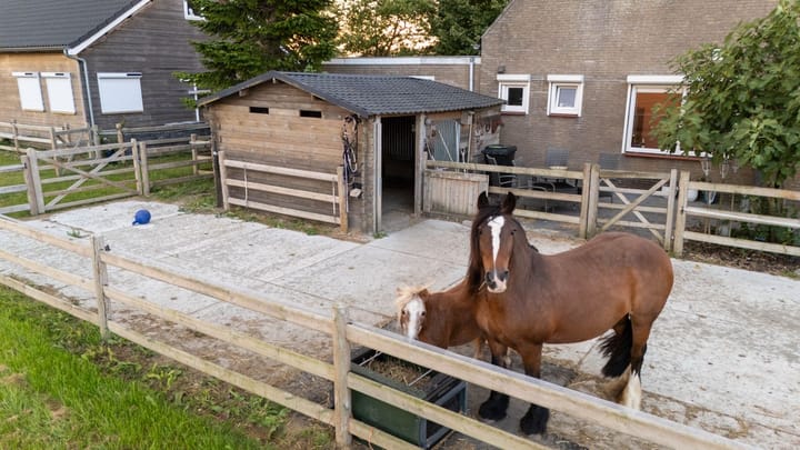 Foto 44 van Platteweg 11