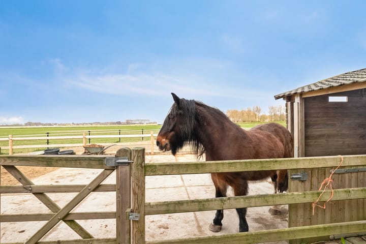 Foto 45 van Platteweg 11