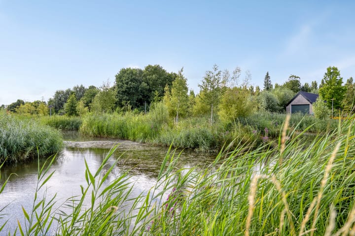 Foto 55 van Wieldrechtse Zeedijk 43