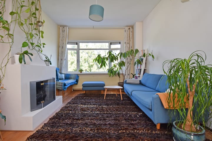 Foto 2 van Abrikozenplein 9