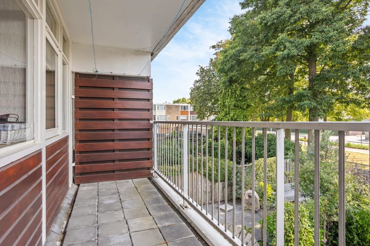 Foto 14 van Glenn Millerrode 30