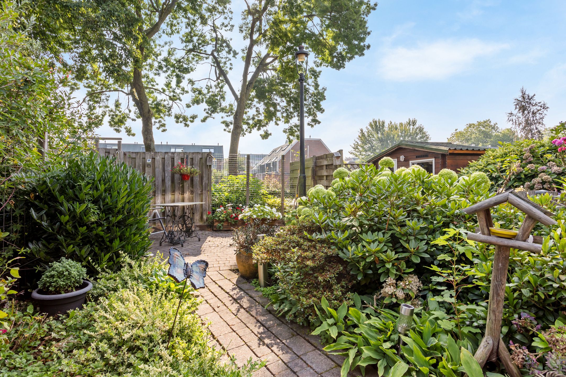 Foto 24 van Glenn Millerrode 30