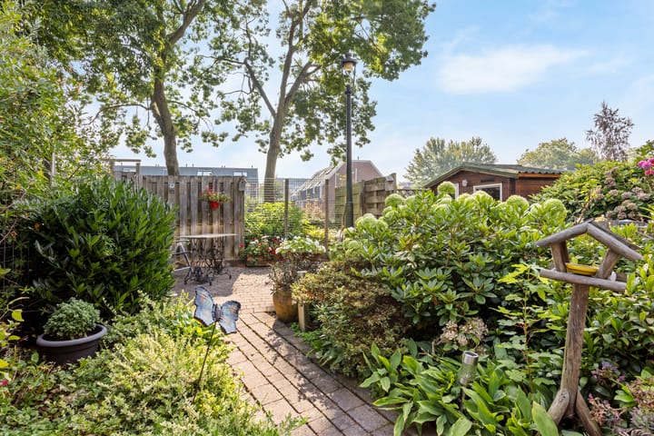 Foto 24 van Glenn Millerrode 30