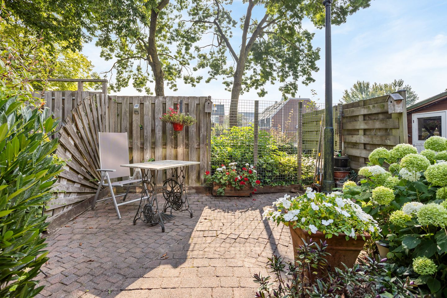 Foto 25 van Glenn Millerrode 30