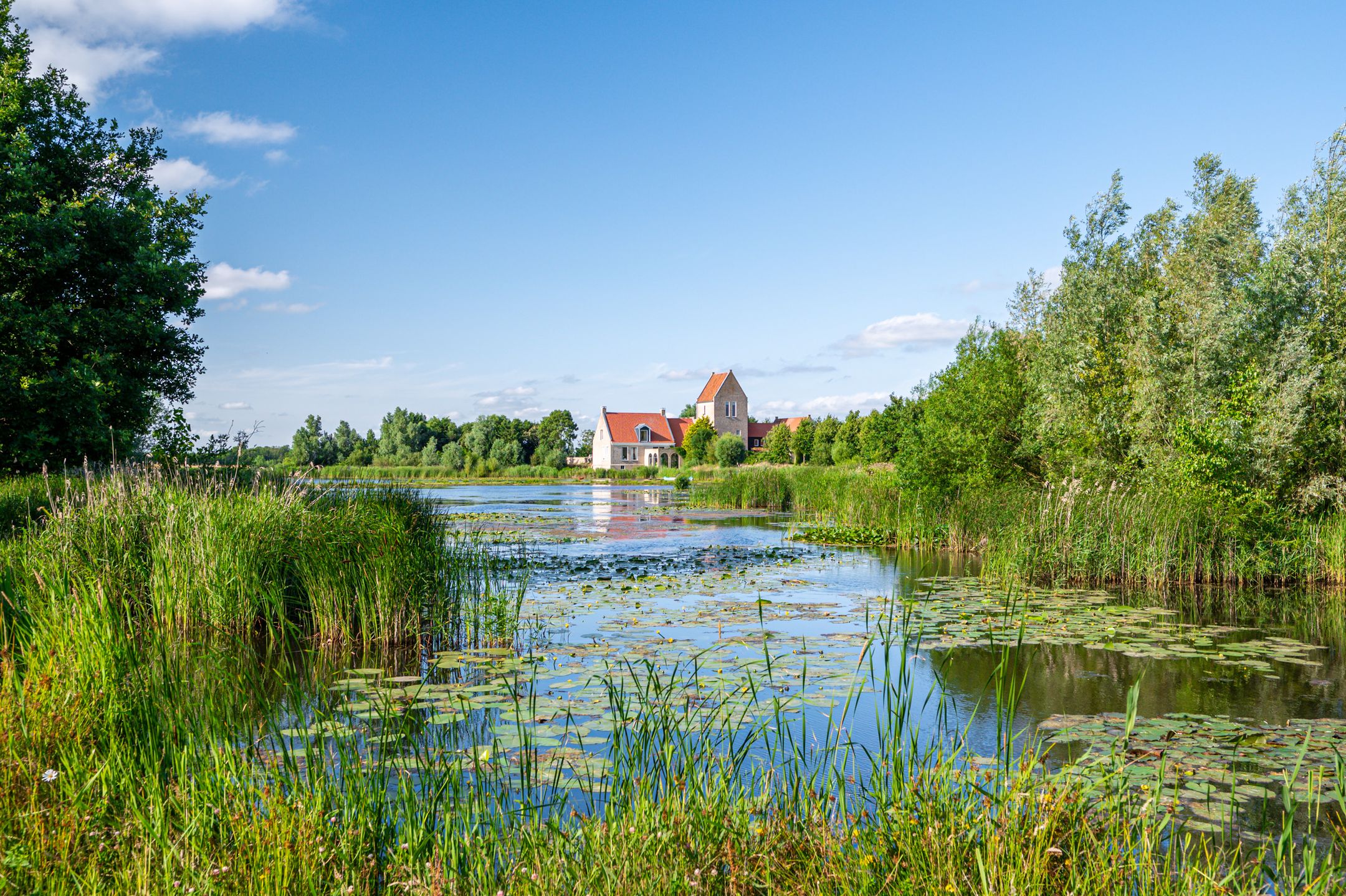 Foto 45 van Wieldyk 10