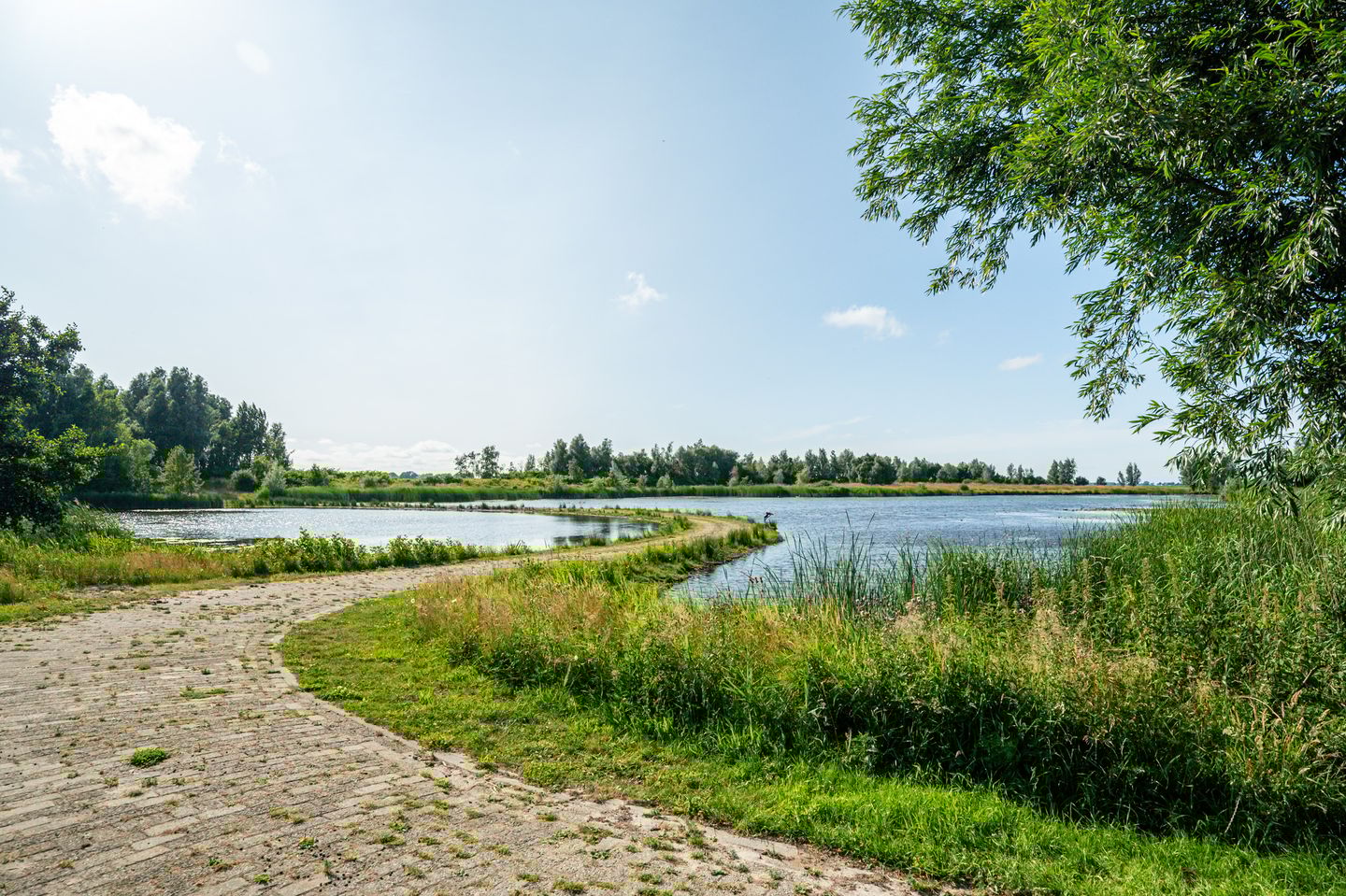 Foto 49 van Wieldyk 10