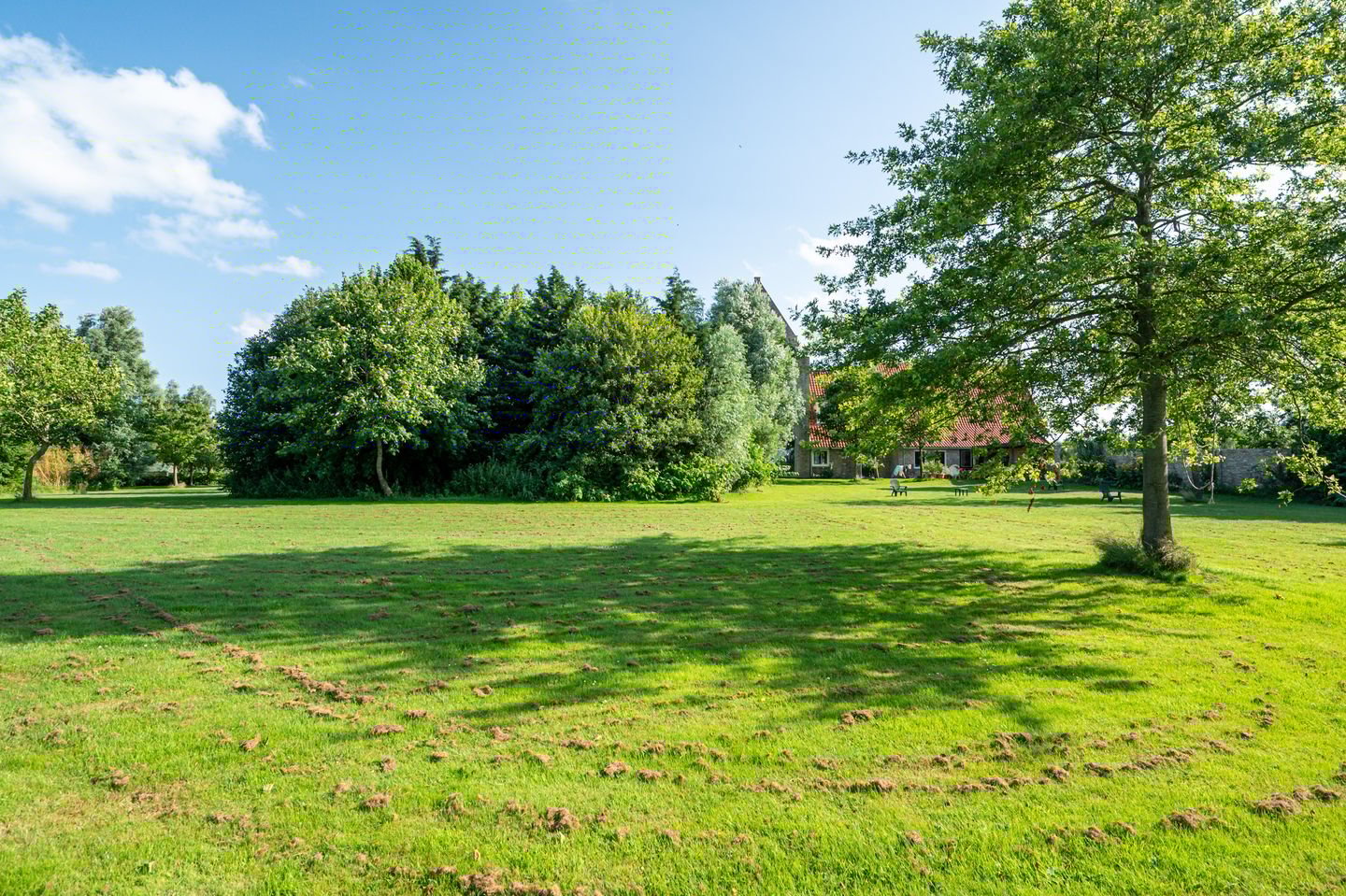 Foto 50 van Wieldyk 10