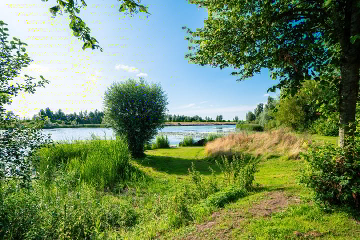 Foto 51 van Wieldyk 10