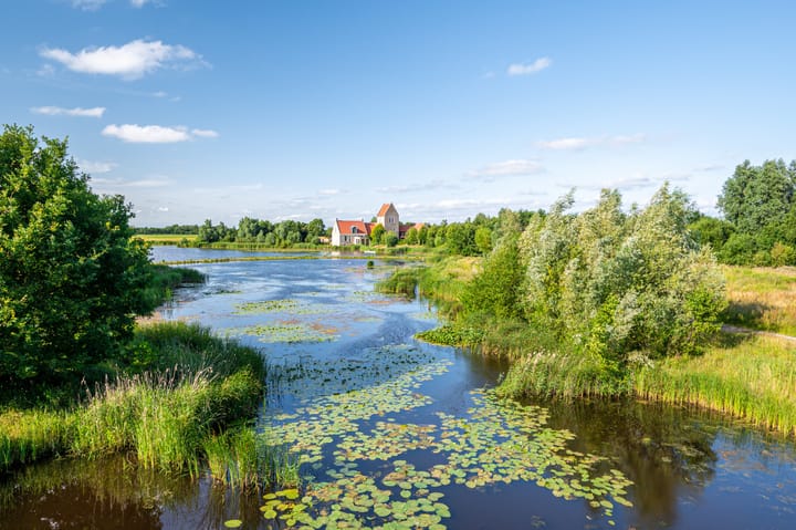 Foto 52 van Wieldyk 10