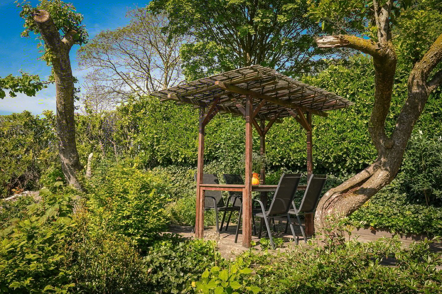 Photo 29 of Horenkamp 19