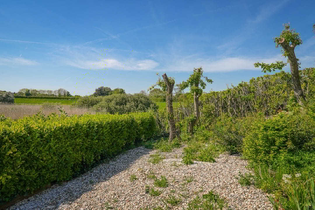 Photo 31 of Horenkamp 19