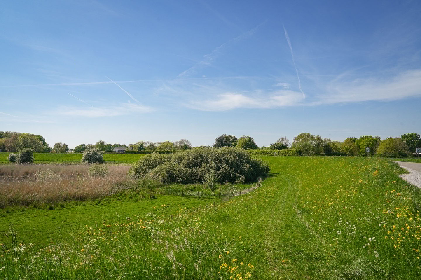 Photo 40 of Horenkamp 19