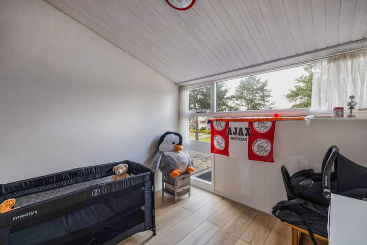 Foto 33 van Europalaan 24