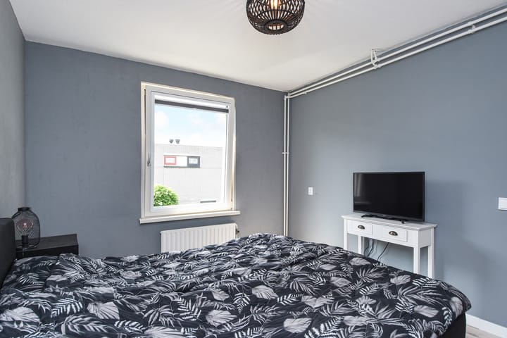 Foto 20 van Kanariegeel 21