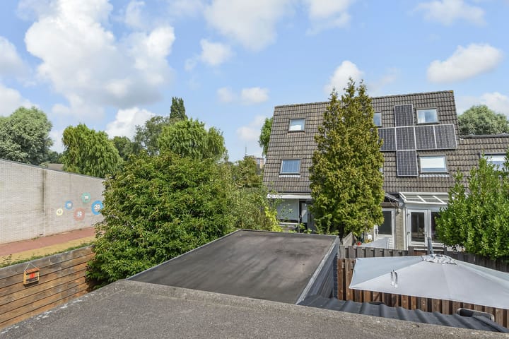 Foto 38 van Kanariegeel 21