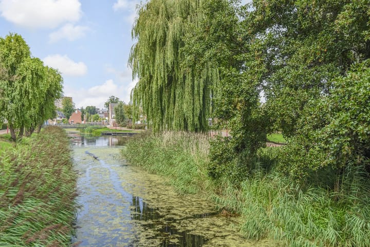 Foto 48 van Kanariegeel 21