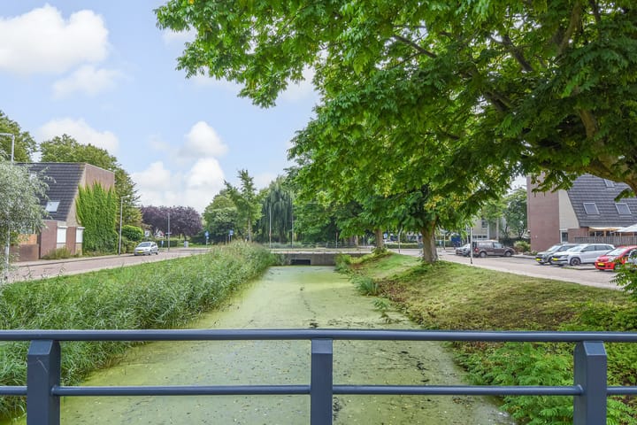 Foto 49 van Kanariegeel 21