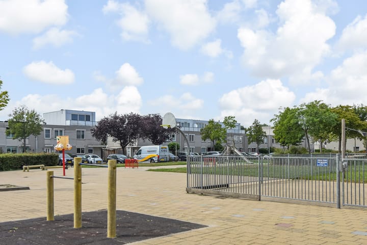 Foto 50 van Kanariegeel 21