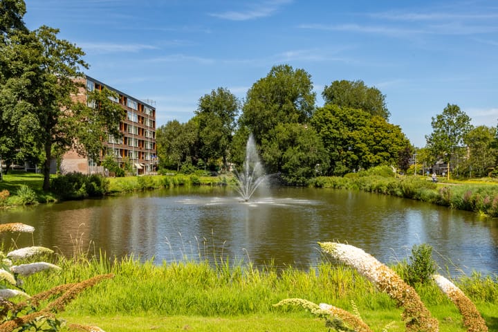 Foto 7 van Plutolaan 70