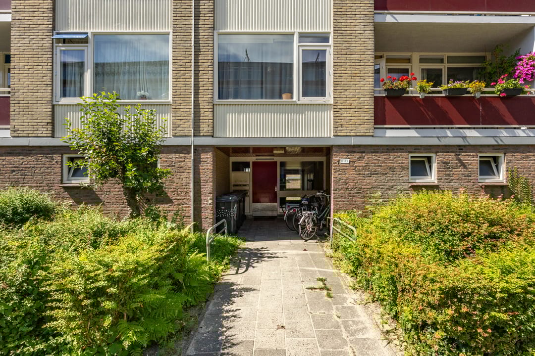 Foto 11 van Plutolaan 70