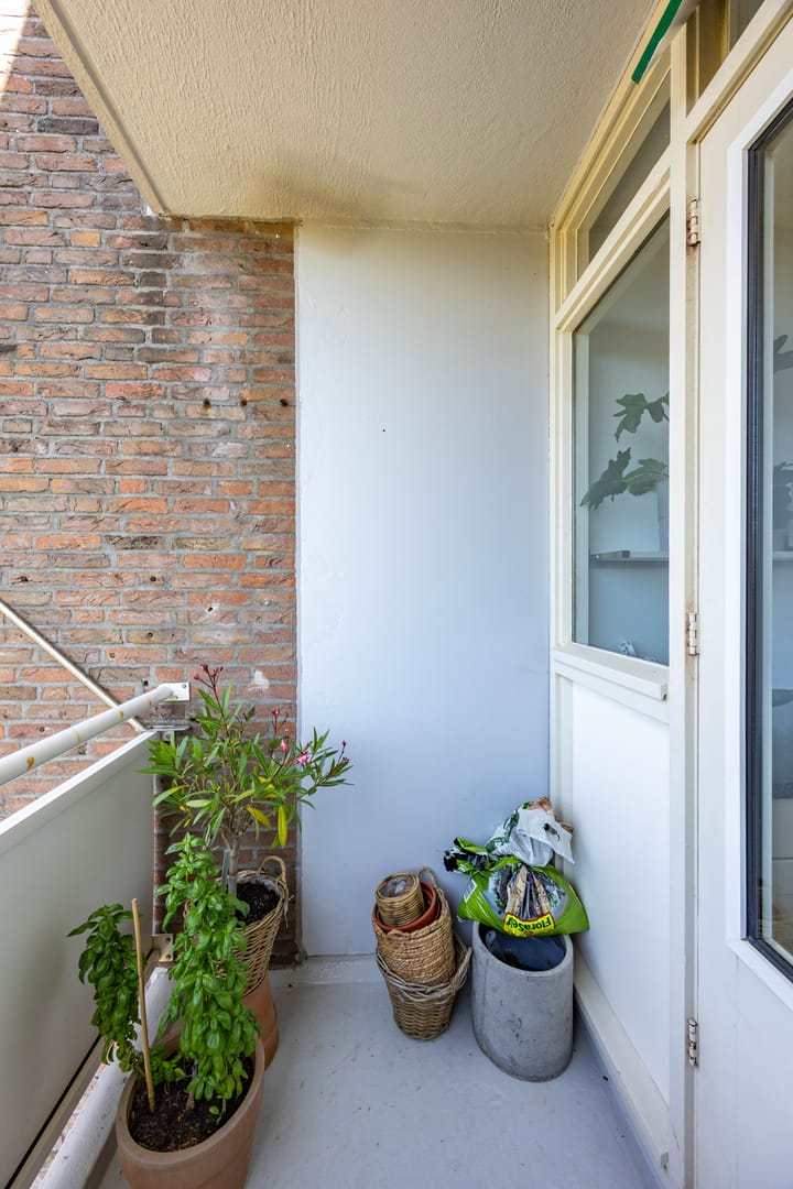 Foto 20 van Plutolaan 70