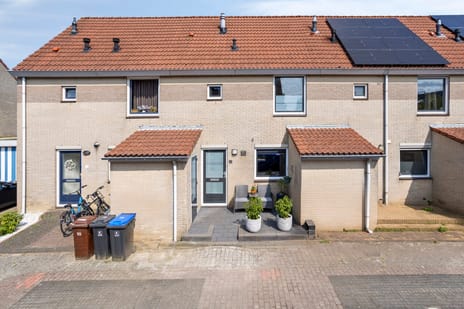 undefined main image