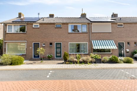 undefined main image