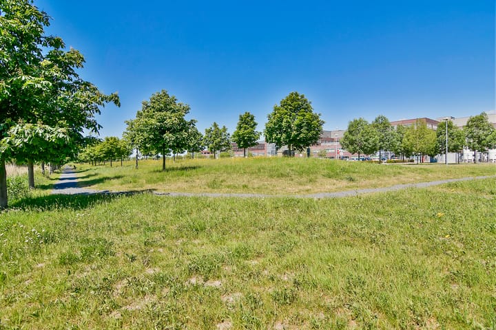 Photo 5 of Rottumeroog 198