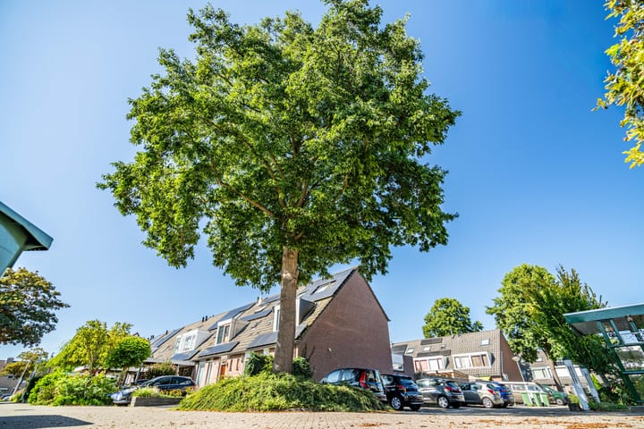 Foto 53 van Barentszrede 21