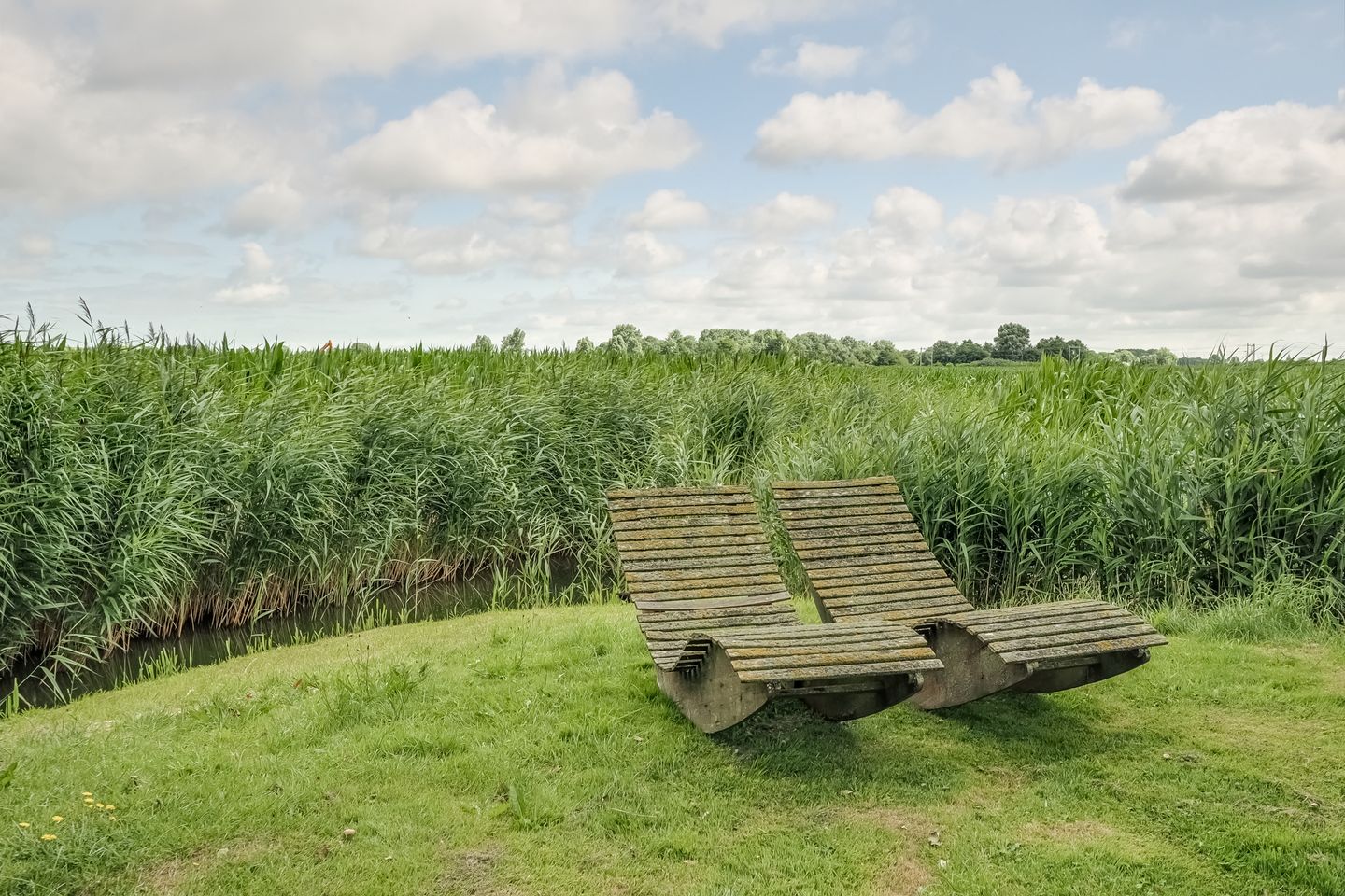 Photo 19 of Bonkelaarsdijk 7