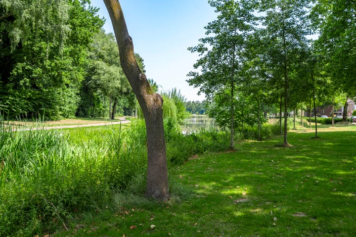 Foto 43 van Sabinastraat 28