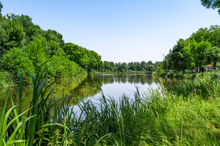 Foto 44 van Sabinastraat 28