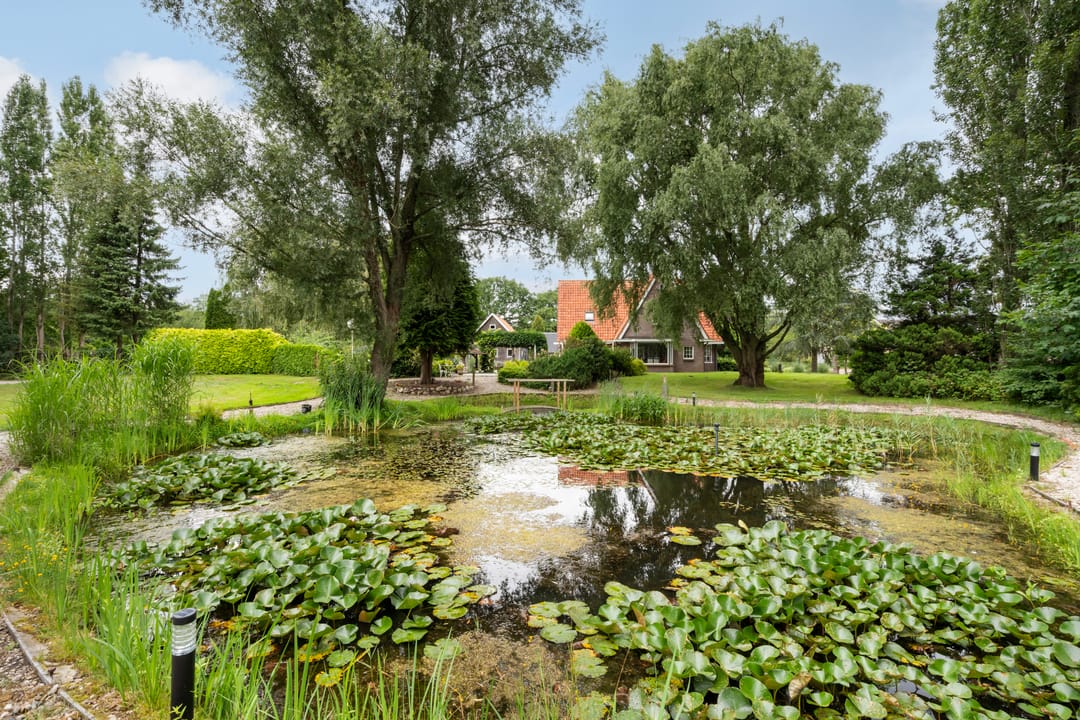 Foto 2 van Toldijk 4