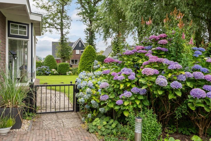 Foto 51 van Toldijk 4