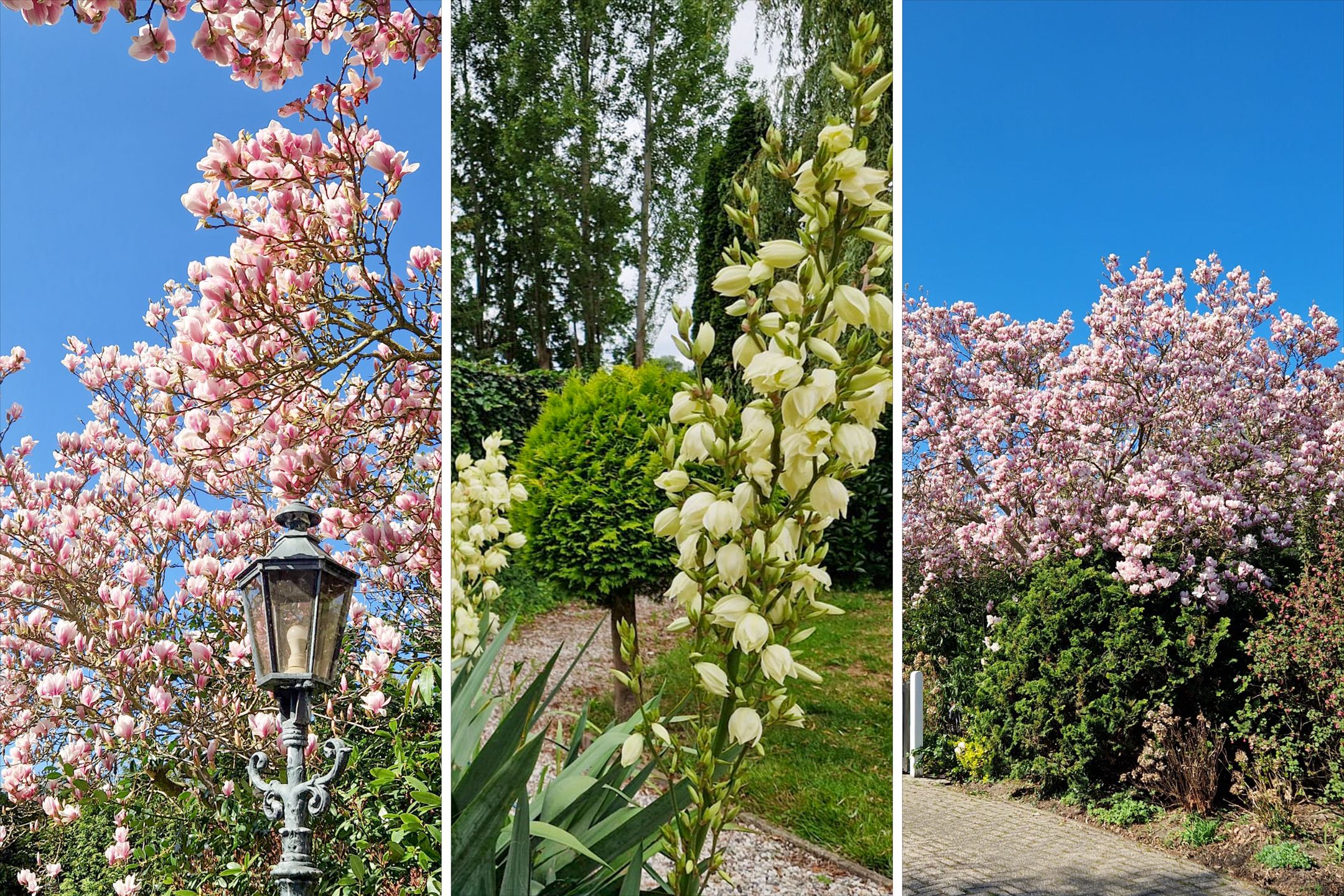 Foto 54 van Toldijk 4