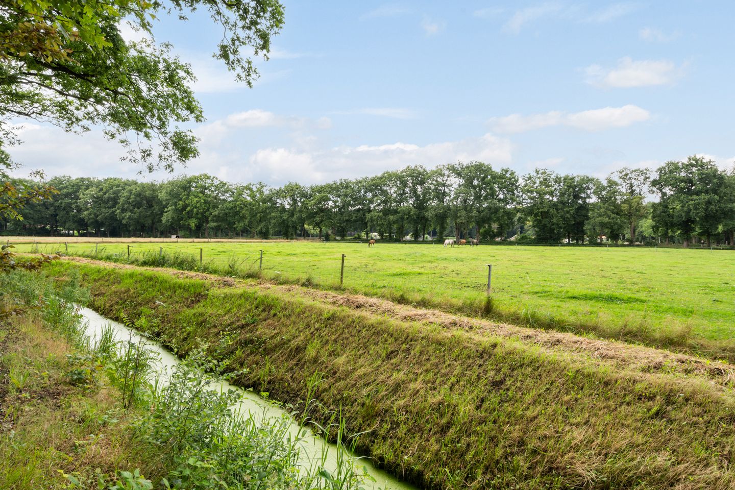 Foto 80 van Toldijk 4