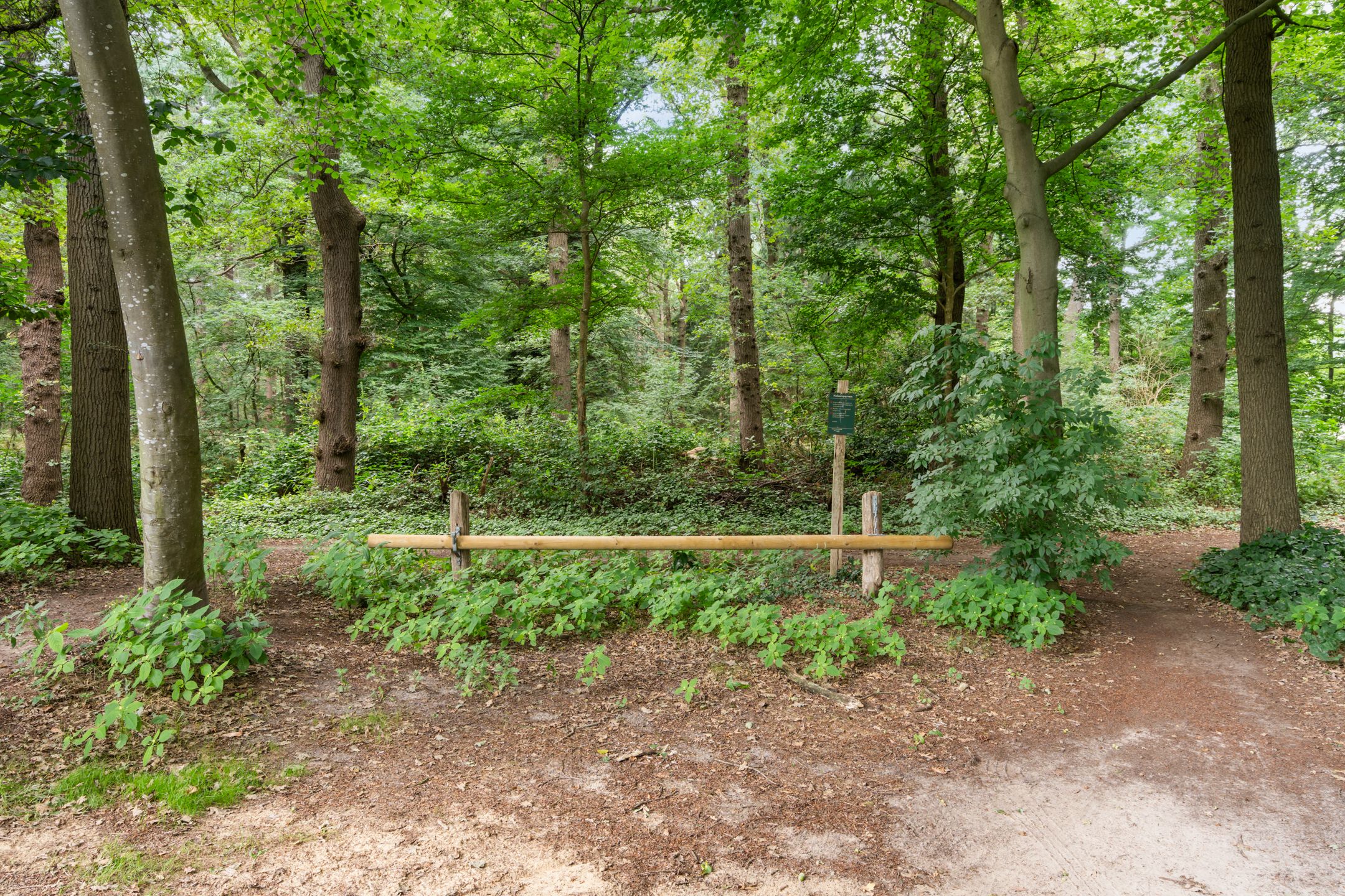 Foto 3 van Toldijk 4