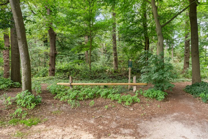 Photo 3 of Toldijk 4