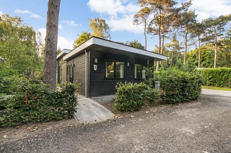 Krimweg 160-118 tertiary image