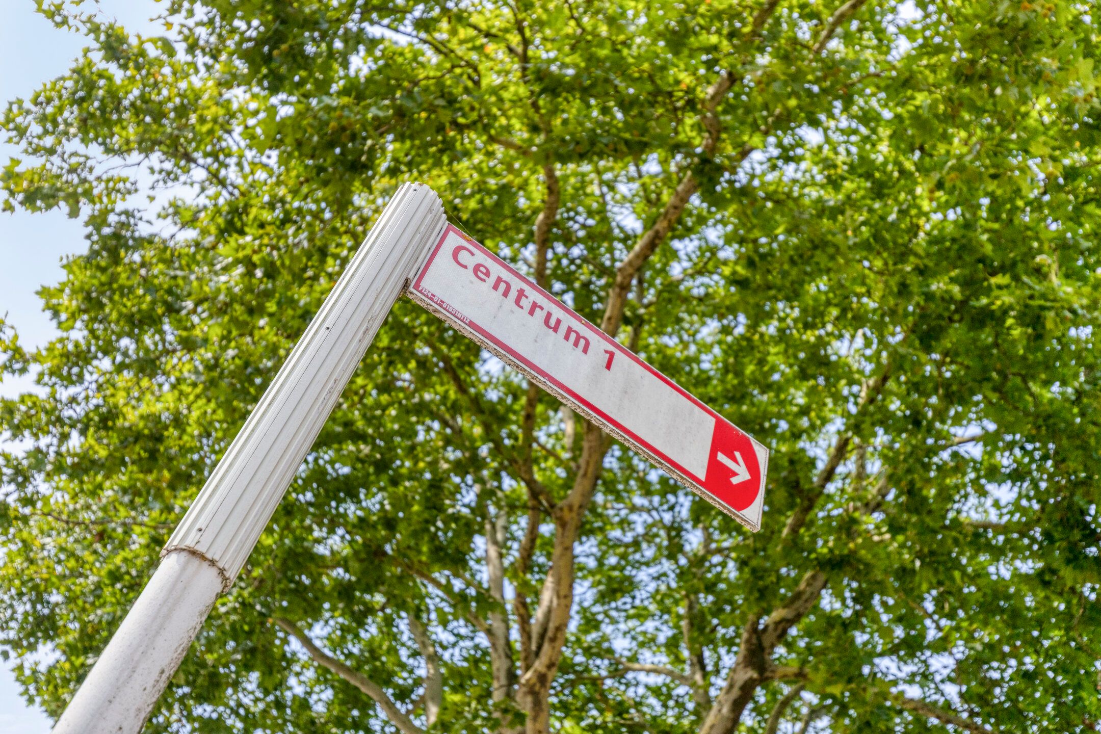 Foto 36 van Pettelaarseweg 182-M