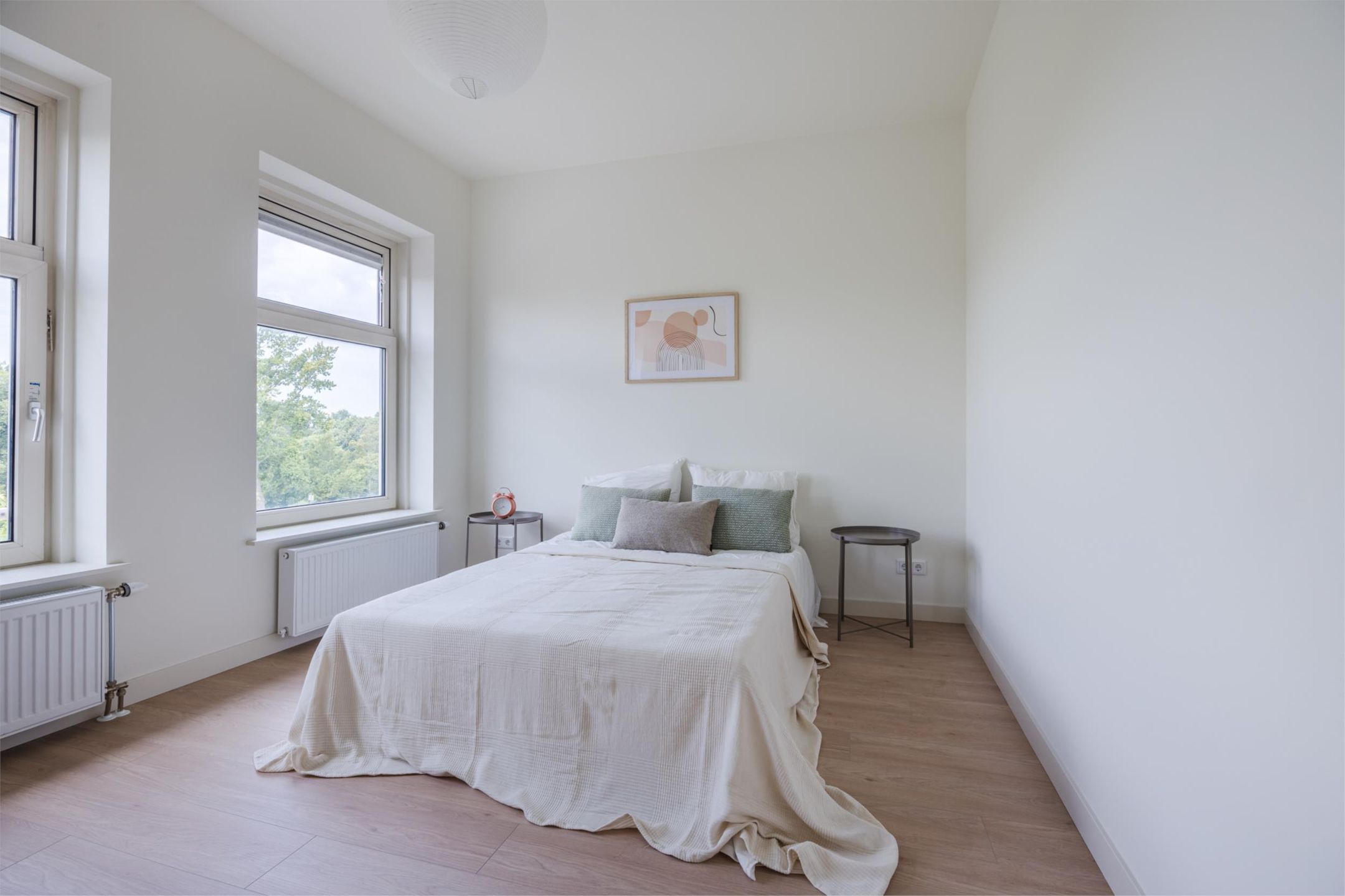 Foto 9 van Soestdijksekade 972